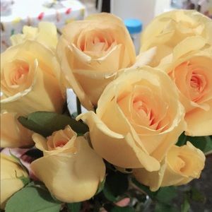 Meet your Posher, Chingshui